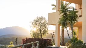 Apartamento Planta Baja en venta en Hacienda del Señorio de Cifuentes, 375.000 €