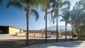 AMAZING EQUESTRIAN PROPERTY 15 MINUTES FROM THE BEACH