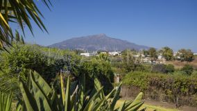 Villa zu verkaufen in Guadalmina Alta, San Pedro de Alcantara