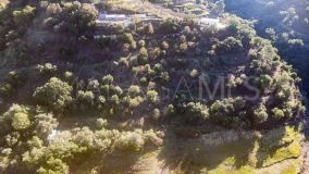 Finca for sale in Istan