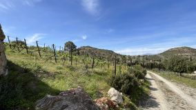 Finca en venta en Cartama