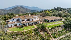Villa de Lujo en Marbella: Privacidad, Confort y Esplendor.