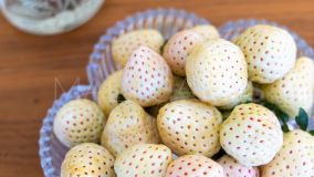 Apartamento en venta en Perchel Norte - La Trinidad, Malaga