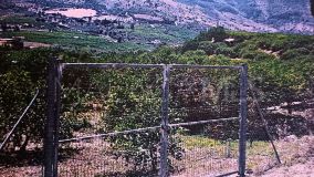 Plot for sale in Alora