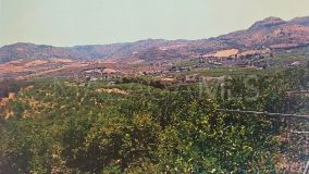 Plot for sale in Alora