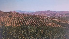 Plot for sale in Alora