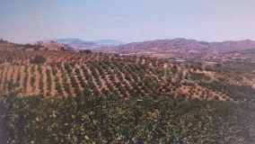 Parcela en venta en Alora