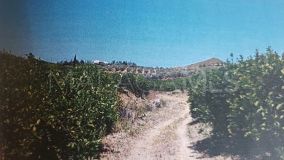 Plot for sale in Alora