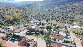 Plot for sale in Periana