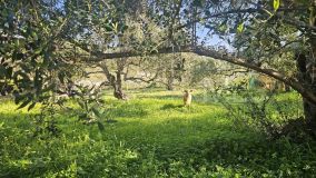 Terrain for sale in Casarabonela