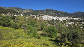 Terrain for sale in Casarabonela