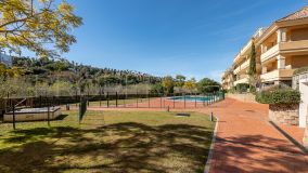 For sale ground floor apartment with 3 bedrooms in Valderrama Golf