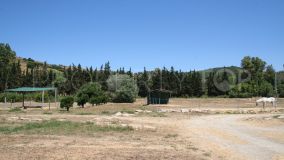 For sale 4 bedrooms finca in San Martin del Tesorillo