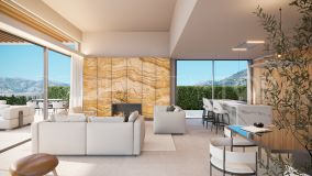 Buy 4 bedrooms villa in El Higueron