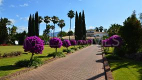 Villa for sale in Guadalmina Baja, San Pedro de Alcantara
