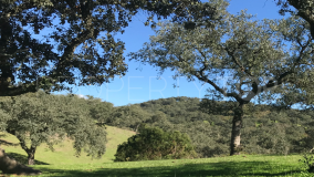Villaviciosa de Cordoba, finca a la venta