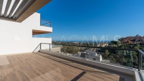 Appartement Terrasse for sale in Los Naranjos Hill Club, Nueva Andalucia