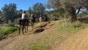 Plot for sale in Cala de Mijas, Mijas Costa