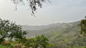 Finca zu verkaufen in Pinares de San Antón, Malaga - Este