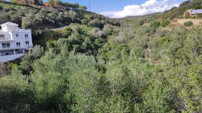 Parcela en venta en El Rosario, Marbella Este