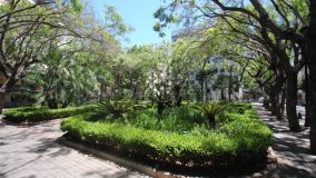 Lägenhet for sale in Marbella Centro, Marbella City