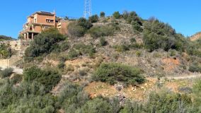 Plot for sale in El Rosario