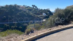Plot for sale in El Rosario