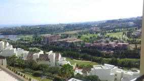 For sale apartment in Acosta los Flamingos