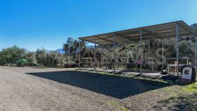 Finca for sale in Coin