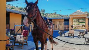 Finca en venta en Coin