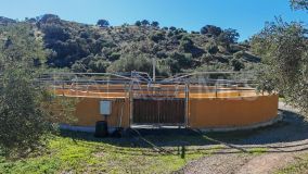 Finca for sale in Coin