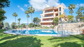Apartamento Planta Baja en venta en Magna Marbella, Nueva Andalucia