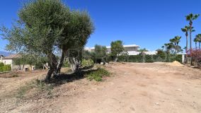 Plot for sale in Zona F