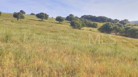 Plot for sale in Secadero, Casares Pueblo