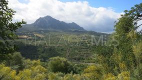 Grundstück zu verkaufen in Casares Montaña