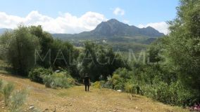 Terrain for sale in Casares Montaña