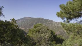 Plot for sale in La Zagaleta, Benahavis