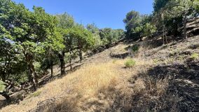 Parcela en venta en El Madroñal, Benahavis