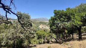 Parcela en venta en El Madroñal, Benahavis
