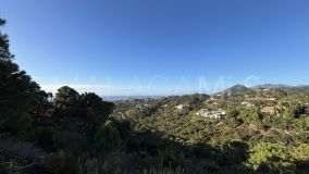 Plot for sale in La Zagaleta, Benahavis