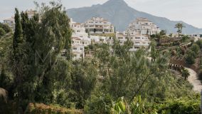 Villa for sale in Los Naranjos Hill Club, Nueva Andalucia