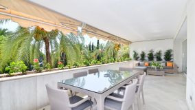 Wohnung zu verkaufen in Don Gonzalo, Marbella City
