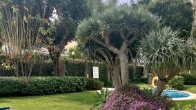 Appartement rez de chaussée for sale in Guadalmina Alta, San Pedro de Alcantara