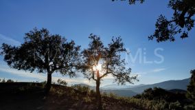Terrain for sale in La Zagaleta, Benahavis