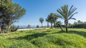 Plot in Paraiso Alto for sale