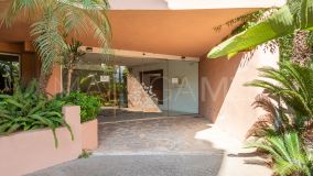 Commercial Premises for sale in Magna Marbella, Nueva Andalucia