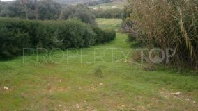 Parcela a la venta en Sotogrande Alto