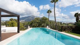 Villa for sale in Las Brisas, Nueva Andalucia