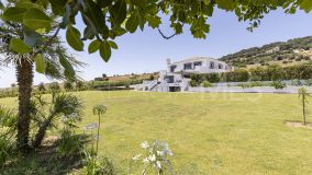 Finca zu verkaufen in Casares