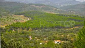 Country Estate for sale in Huelva Province - Great Business Opportunity